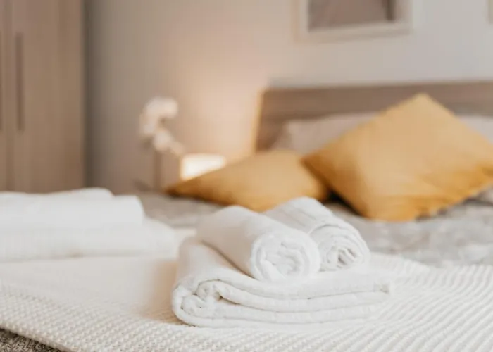 Daire Pacifico Gioiello A 4 Minuti Dal Locarno